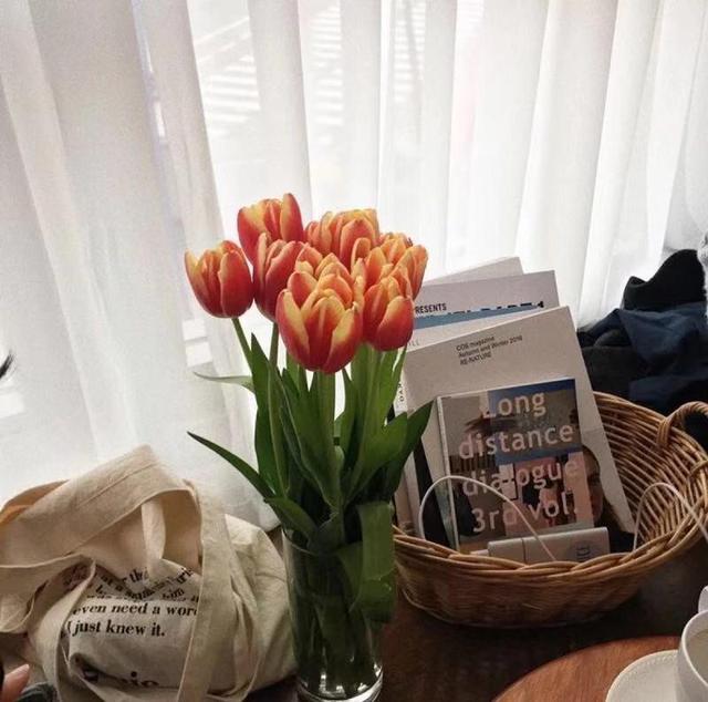 百合花的根如何保存，百合花的球根怎么保存（保证幼苗分化来年继续开花）