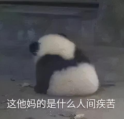 人食级别宠粮是智商税吗？有这2个认证的猫罐头，就可以闭眼入了