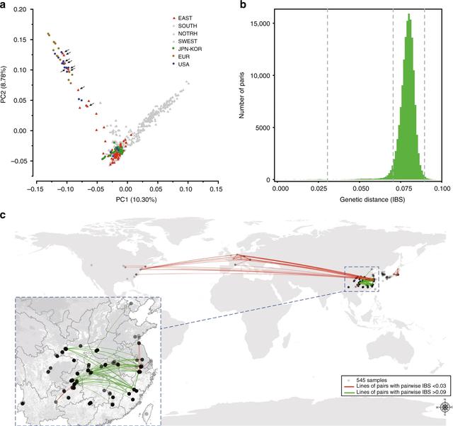 银杏树的特点具体有哪些，银杏树有什么特点（怎么就成濒危物种了）