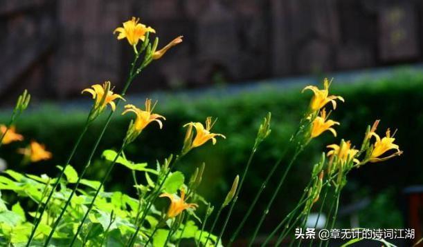 思母古诗带拼音，每首背后的故事都让人潸然泪下