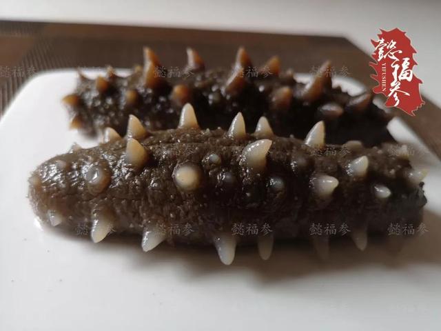 鲜海参怎么保存，杀好的新鲜海参怎么保存（海参该如何保存）