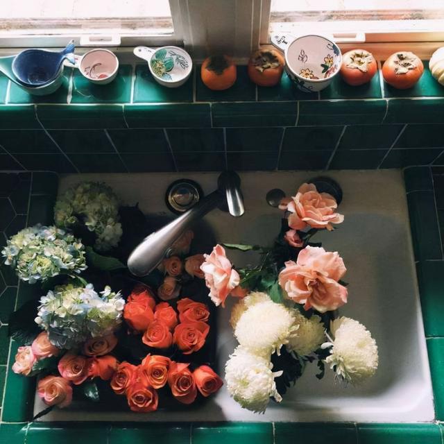 100句阳光的句子，阳光 的句子（阳光短句子：生活给了你阴影）