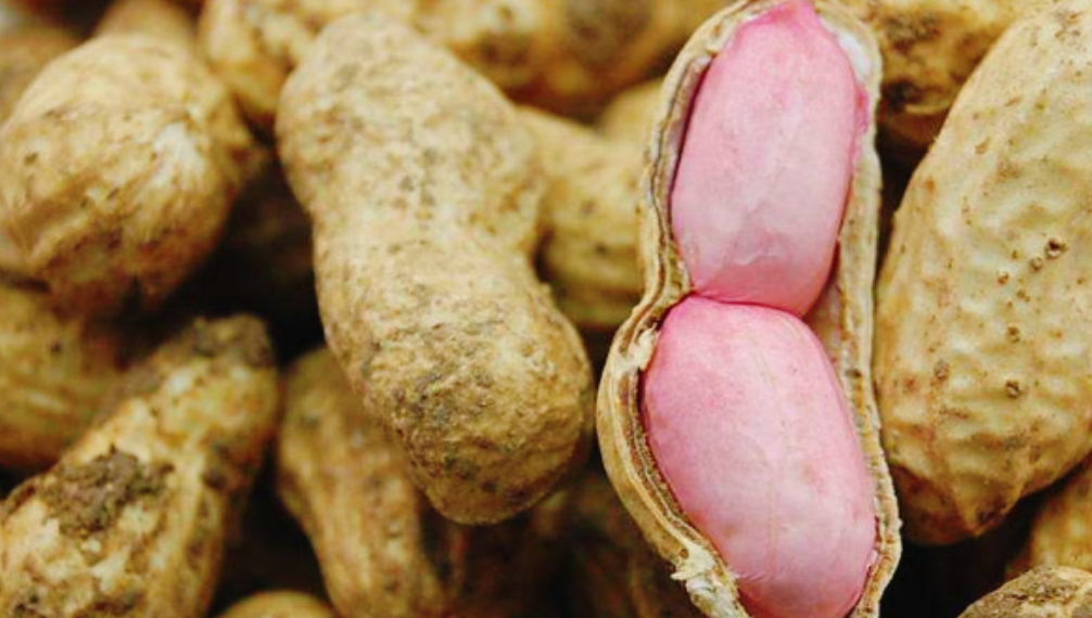 圖片[2]-【生腌花生米】做法步驟圖 詳細做法告訴你 比水煮和油炸都好-起舞食譜網