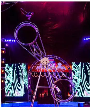 世界最著名的马戏团有哪些，世界最著名的马戏团有哪些动物（全球最知名的马戏表演要来郑州了）