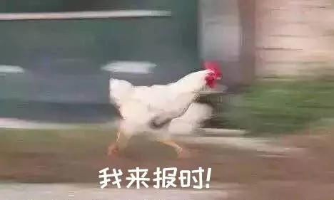  晡读音介绍，晡怎么读（十二时辰还有这样的别称） 