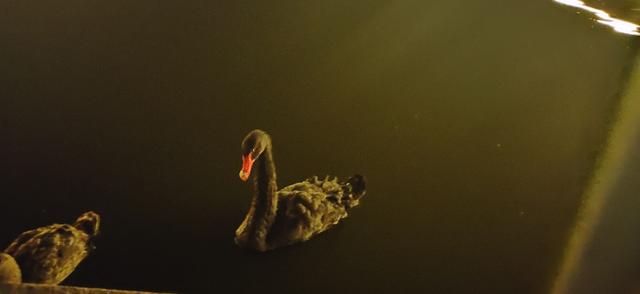 磁县旅游景点大全，磁县网红景点（磁县周边景点）