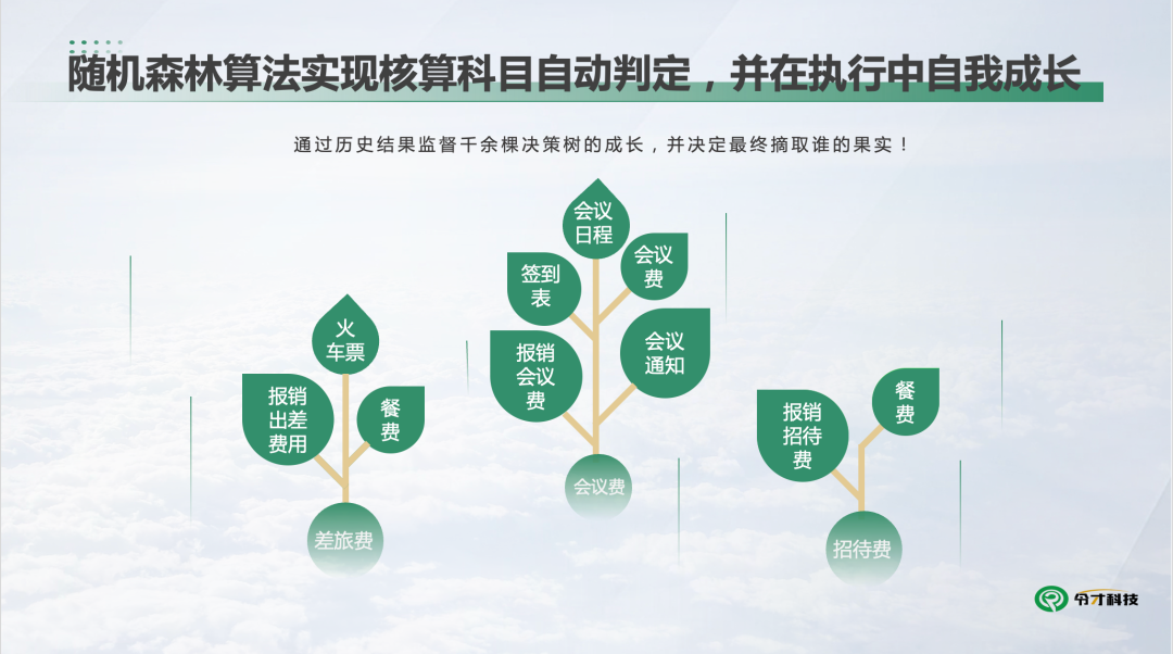 会计人工智能（人工智能对财务领域的）