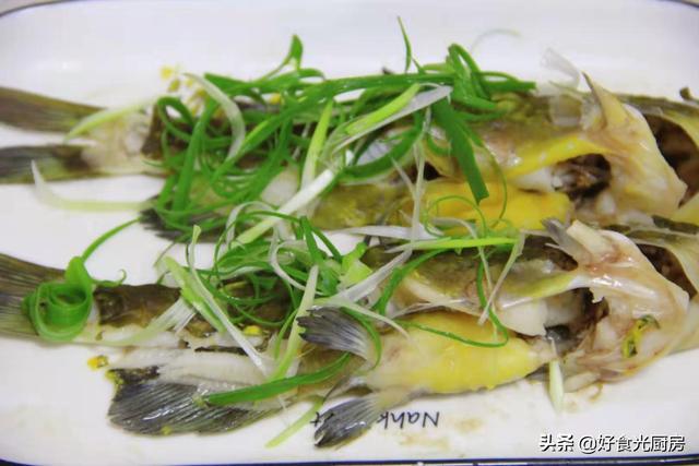 黄骨鱼是水黄蜂吗_黄蜂鱼跟黄骨鱼一样吗，黄骨鱼跟黄蜂鱼区别（这鱼小孩一餐能吃两条）