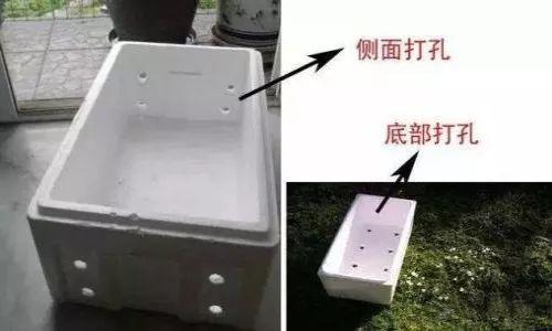 冬天吃什么菜好，冬天吃什么菜最好（下雪天冻不死）