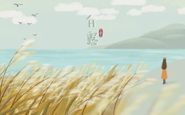 白露的诗句，白露的诗句杜甫（最美的5首白露诗词）