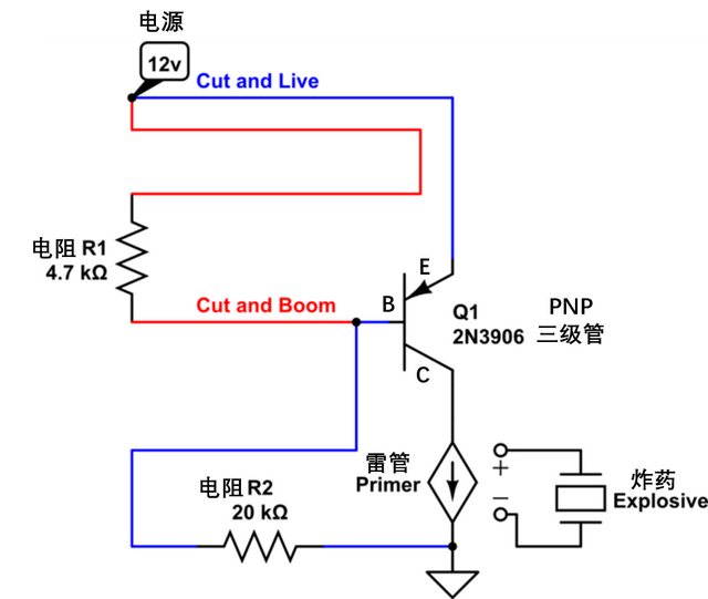 樱花和樱桃的关系，樱花树结的果子叫什么（樱花结的果和樱桃有关系吗）