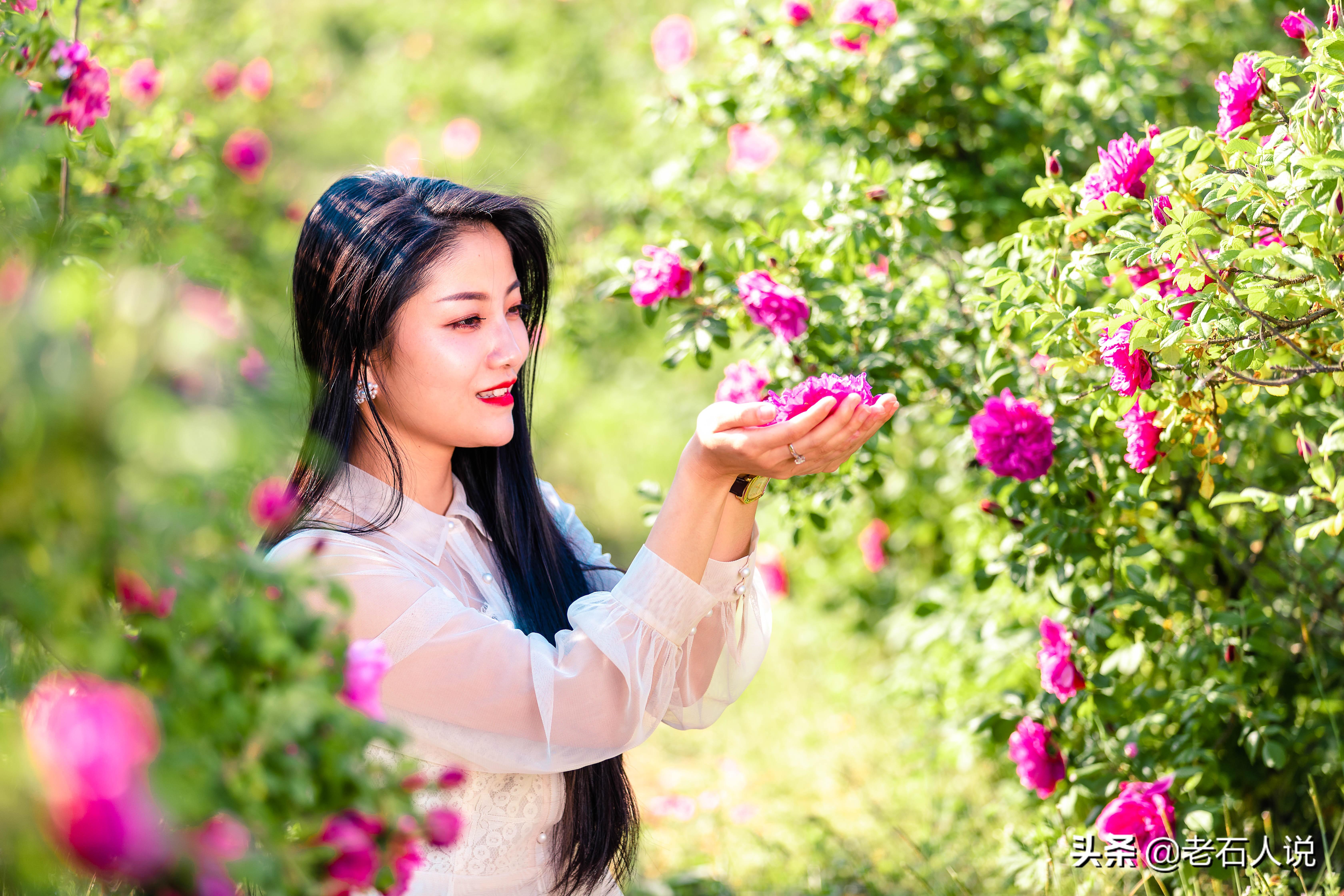 玫瑰花开的季节，玫瑰花在什么季节长出来（玫瑰花在什么季节长出来的）