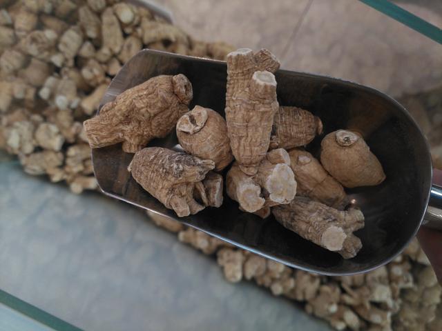 花旗参与西洋参的区别，花旗参与西洋参的区别有哪些呢（它的内幕：软枝与硬枝哪个好）