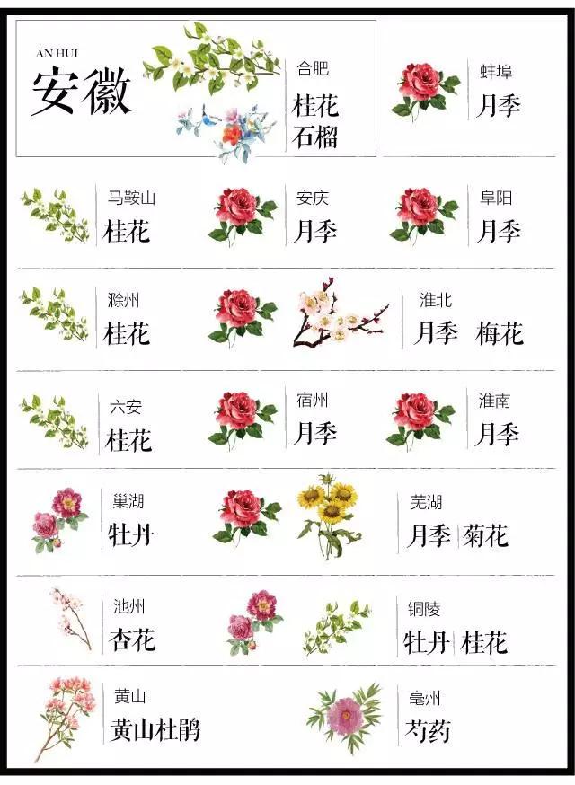 城市的市花有哪些花，关于全国各城市市花及意义