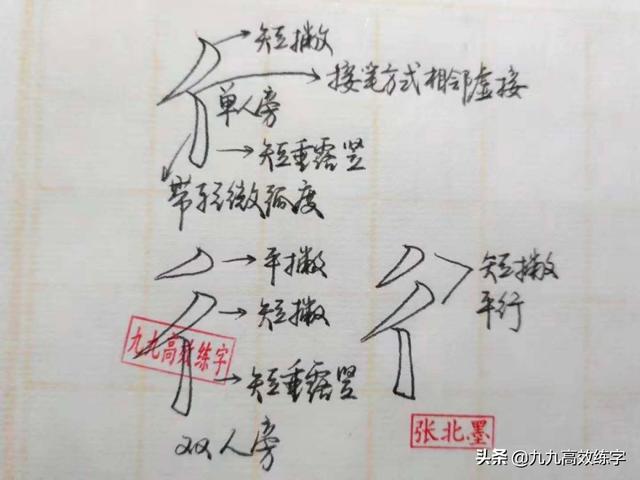 并的部首是什么偏旁，并部首是什么部首（你可以了解一下的偏旁部首精讲课程）