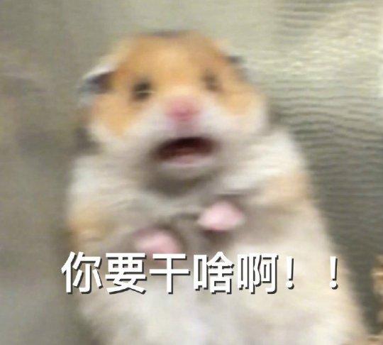 玩游戏赚钱的平台(赚钱秒到账的游戏)