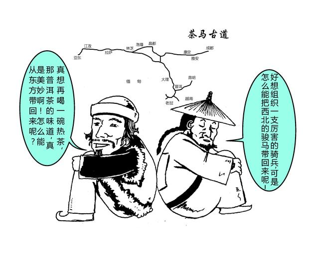 普洱茶珍属于什么茶，普洱茶包含哪些（三分钟读懂普洱茶的前世今生）