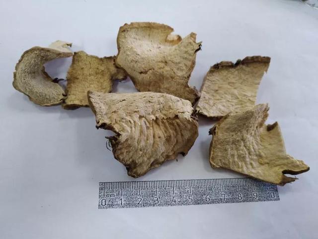 菪怎么读什么意思,菪怎么读(中医药版《生僻字》中药注音配图来了)