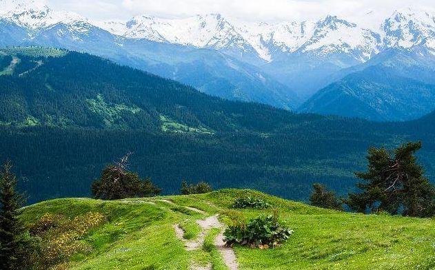 苦尽甘来精辟句子，苦尽甘来的唯美句子（新的一年激励人心的句子）