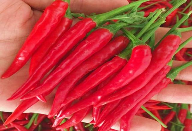 小米可以冷冻保存吗（不能直接放冰箱）