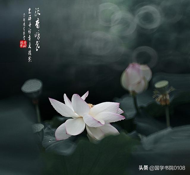 家祭无忘告乃翁的意思，示儿古诗的意思翻译（国人不该叫错的“三个称呼”）