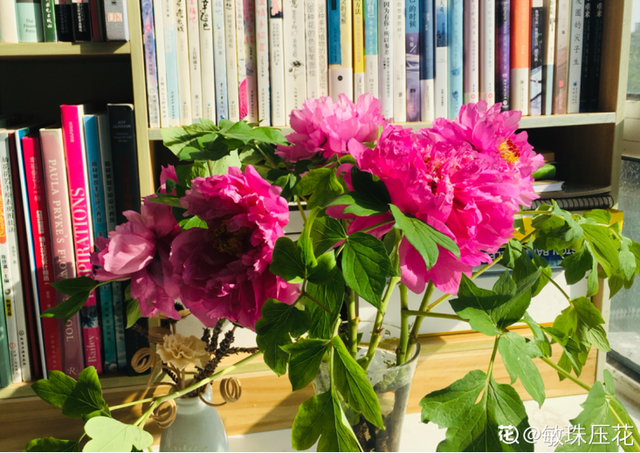 鲜花的保鲜期是多久，鲜花的保鲜期是多久啊（花期延长2倍）