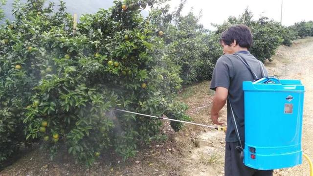 硫酸锰是沉淀吗，硫酸镁是沉淀吗（磷酸二氢钾不能和这些药和肥搭配）