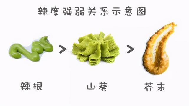 芥末是从哪里提炼出来的 芥末是从什么提炼出的，芥末是从哪里提炼出来的（“芥末”是用什么做成的）