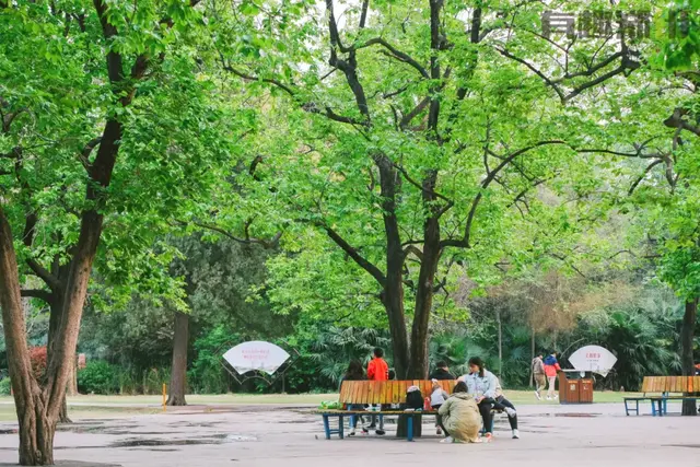 郑州碧沙岗公园有什么好玩的，郑州碧沙岗公园游览图（郑州人习以为常的碧沙岗）