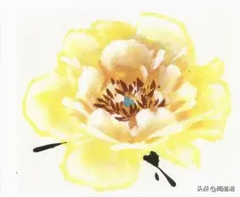 牡丹花头的画法对照表，写意牡丹花头的各种画法