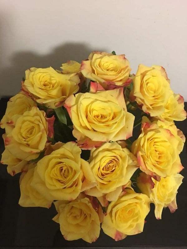 玫瑰花怎么修剪，玫瑰花如何修剪枝条较好（送人既有心意又有新意）