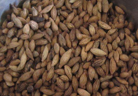 桂花香精怎么提取，桂花香如何提取（沁人心脾人引人来）