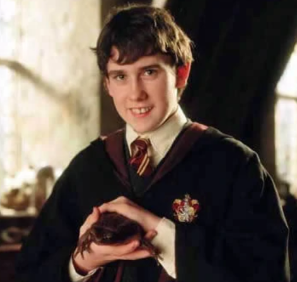 遇见你之前结局，遇见你之前原著结局（遇见你之前电影大热）