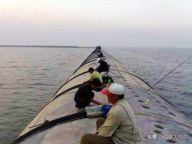 钓梭鱼的绝招（专攻梭鱼的独特钓法）
