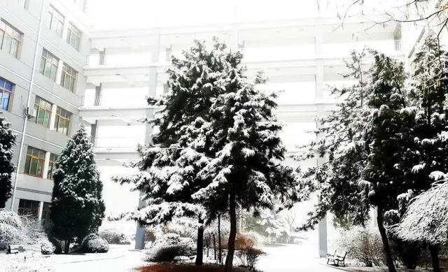 辽宁科技大学宿舍，2021年辽宁科技大学新生宿舍条件图片环境怎么样（<十五>辽宁科技大学）