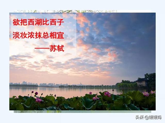 余强饮三大白而别的强是什么意思，余强饮三大白而别的强是什么意思 小说（部编版九年级语文上册《13.湖心亭看雪》课件）