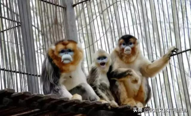 0935是哪的区号,095是哪个地方的区号(这是我2019年最新简历) 0935是哪的区号,095是哪个地方的区号(这是我2019年最新简历)