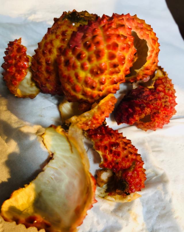 荔枝水分为几种荔枝水的作用及功效，喝荔枝水有什么功效吗（荔枝壳是个“宝”）