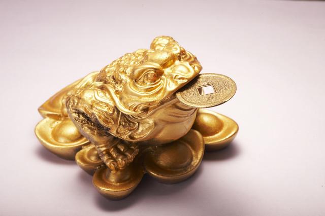 天鹅的故事，天鹅的故事读后感（蛤蟆与天鹅的故事）