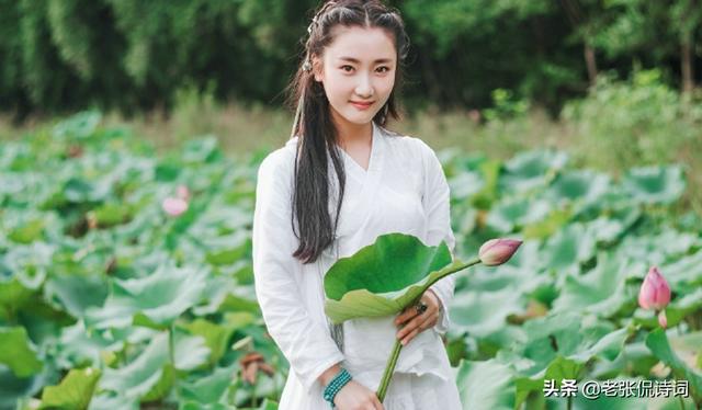 四面荷花三面柳的下一句是什么，四面荷花三面柳下一句是什么诗句（猜猜这是写的哪个城市）