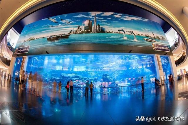 迪拜在什么地方，迪拜在哪里（你想知道的迪拜，都在这里了）