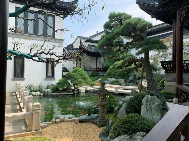 松柏树的象征意义，松柏树长什么样子（庭院门口真的不可以种植松柏吗）