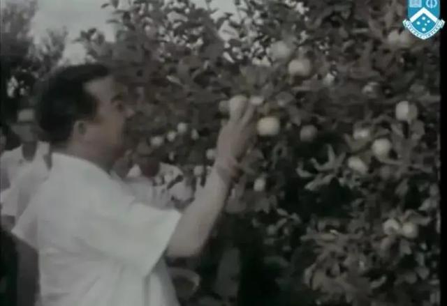 青岛景点排名一览表，青岛旅游景点大全（青岛旅游景点大全排名）