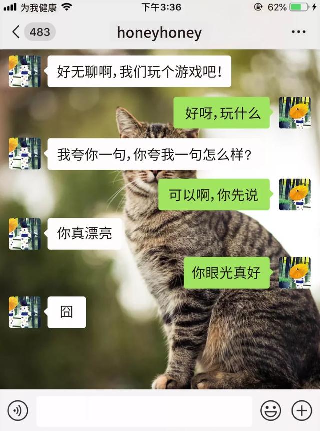 情侣套路话一问一答，情侣套路一问一答大全（“逗逼情侣”的日常聊天）