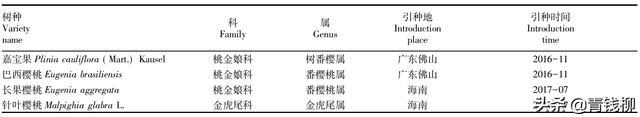冠幅怎么测量，树冠冠幅怎么测量（个特色经济林品种在云南热区的引种表现）
