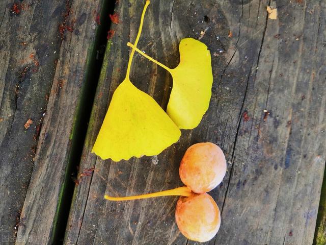 讲座心得体会万能模板，讲座心得体会万能（遇见更好的自己——听鄢文龙教授讲座心得体会）