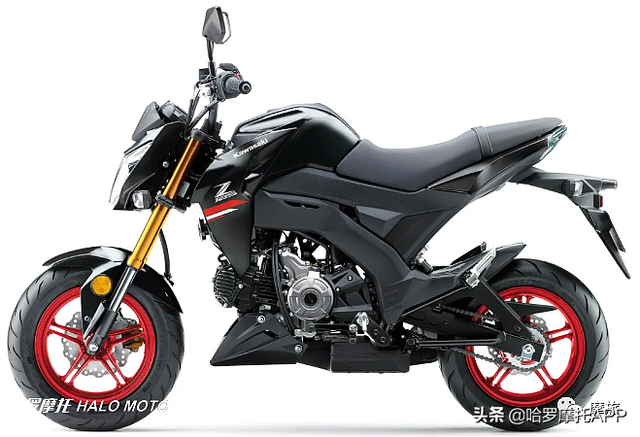 川崎z125pro迷你车发布，川崎公布2021款Z125系列迷你车