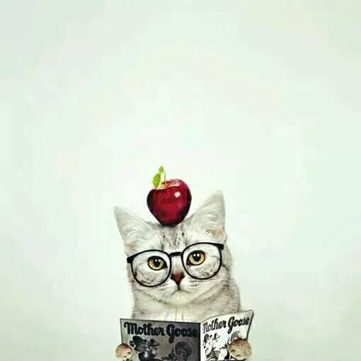 W我心向阳，微信头像，W我心向阳（心若向阳，无谓悲伤）