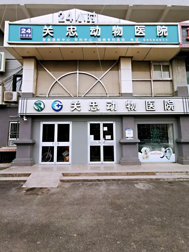 哈尔滨宠物医院，十大哈尔滨宠物医院排名（瑞派宠物医院告诉你最牛医院的正确打开方式）