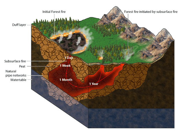 旧金山的气候，旧金山的气候类型及成因（全球气候临界点已被激活9个）